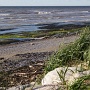 <p align="left">Un plage, trésor de bois d'épave et petits morceaux de verre.